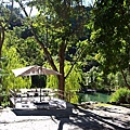 IMG_8326.JPG