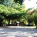 IMG_8294.JPG