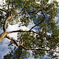IMG_8283.JPG