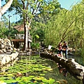 IMG_8286.JPG