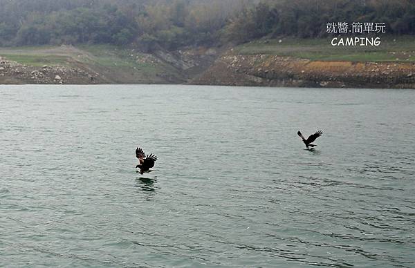 【露營趣】嘉義.大埔湖濱公園 ★免費露營區，釣魚平台賞鷹、釣