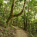 DSC_5951.JPG