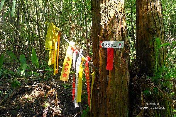 【露營趣】苗栗. 古道秘境露營區 ★翠綠草皮及遼闊視野、橫龍