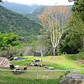 DSC_1978.JPG
