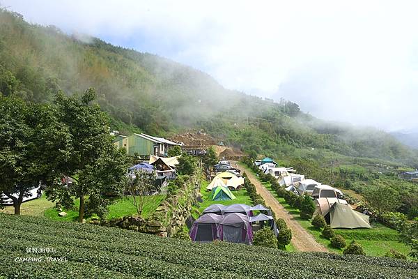 【露營趣】嘉義. 星月傳說  ★療癒茶園、雲霧裊繞、二訪  