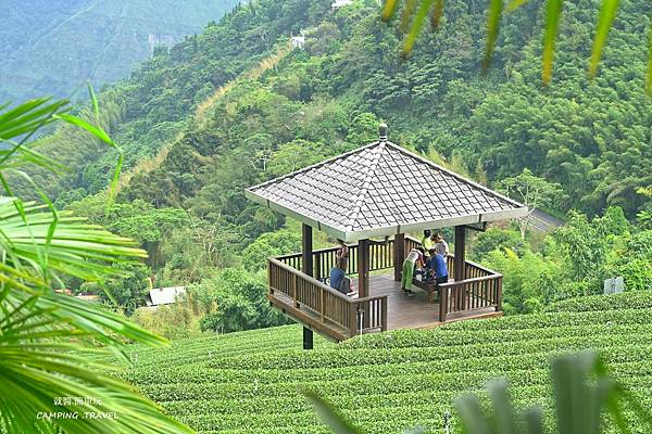 【露營趣】嘉義. 星月傳說  ★療癒茶園、雲霧裊繞、二訪  