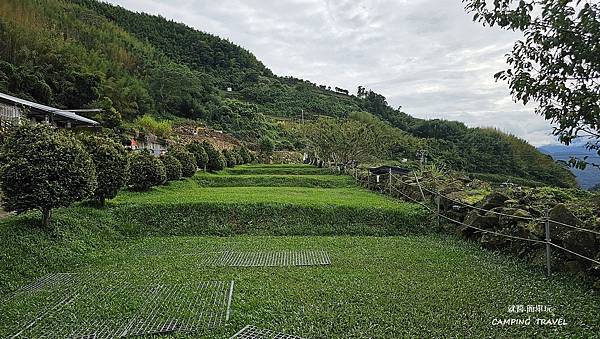 【露營趣】嘉義. 星月傳說  ★療癒茶園、雲霧裊繞、二訪  