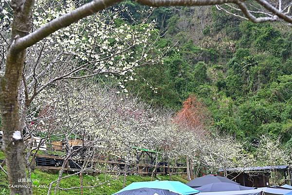 【露營趣】南投. 聽花山川★環境優美的露營區、世外桃源 NO