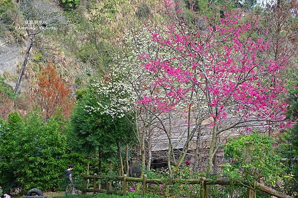 【露營趣】南投. 聽花山川★環境優美的露營區、世外桃源 NO