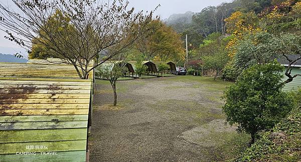 【露營趣】苗栗.山野戀 ★漂亮的雨棚露營區、環境優美、黃花風