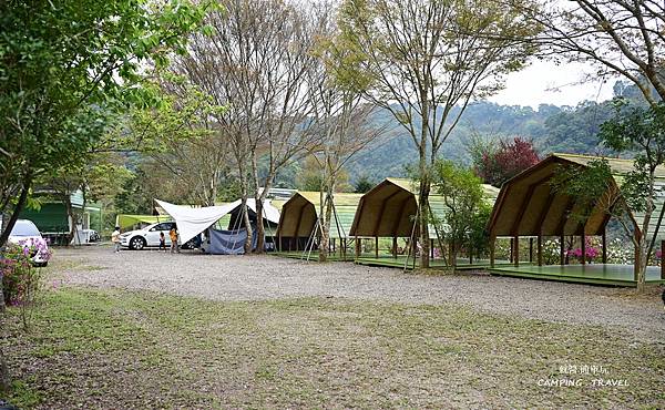 【露營趣】苗栗.山野戀 ★漂亮的雨棚露營區、環境優美、黃花風