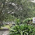 20241103_065450.jpg