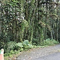 20241103_072655.jpg