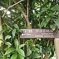 20241103_072247.jpg