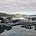20241103_071130.jpg
