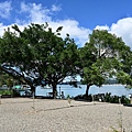 DSC_8620.JPG