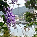 DSC_8764.JPG