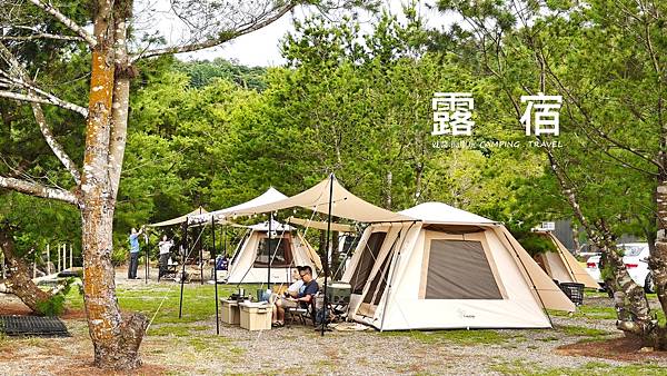 【露營趣】南投.露宿Lùsù Camping ★松樹林環繞的