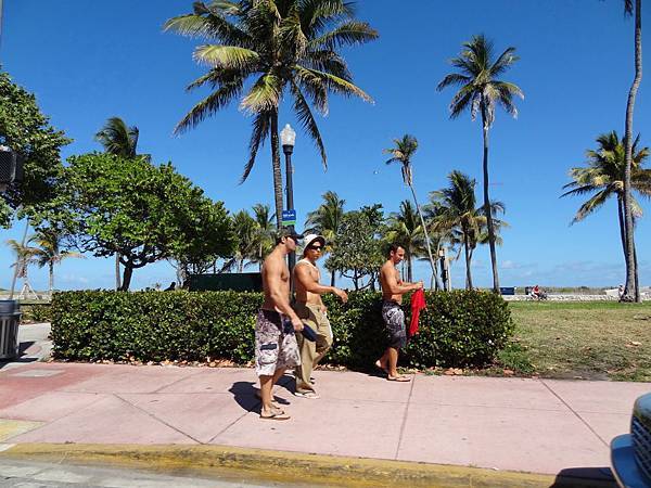 south beach到處都是猛男跟比基尼辣妹.jpg