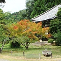 嵐山大覺寺-12.JPG