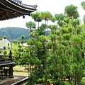 嵐山清涼寺庭院-1.JPG