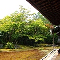 嵐山清涼寺庭院-10.JPG