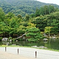 京都嵐山天龍寺庭院-4.JPG