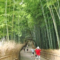 京都嵐山竹林-1.JPG