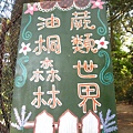 富田花園農場-看不到油桐花的油桐森林.JPG