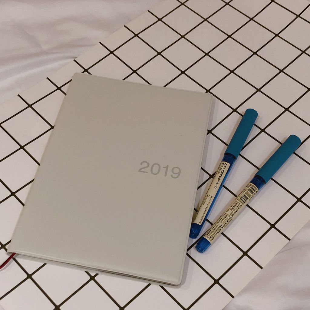 開箱 Muji無印良品19週計劃手帳 日誌 派派趴趴走 痞客邦