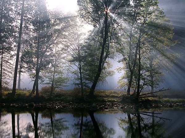 風景