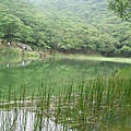 新山夢湖1.jpg