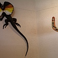 壁飾~傘蜥蜴&迴力標