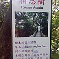 南港公園運動去