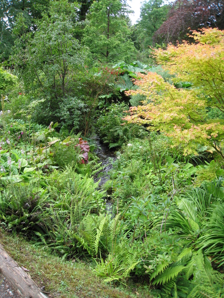 圍繞瀑布的花園景致