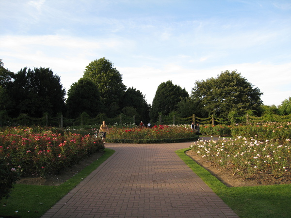 THe Queen's Garden