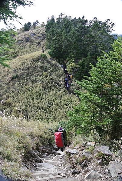 DSC_0973.JPG DSC_0973.JPG