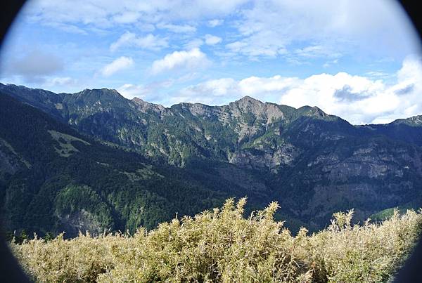 DSC_0982.JPG DSC_0982.JPG
