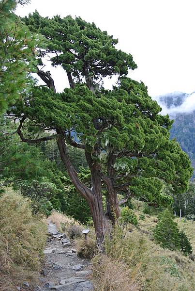 DSC_1005.JPG DSC_1005.JPG