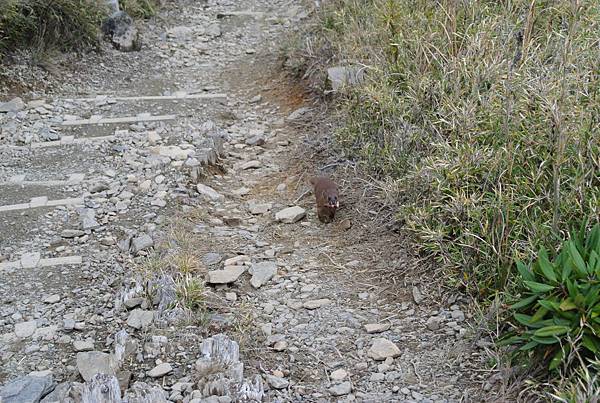 DSC_1022.JPG DSC_1022.JPG