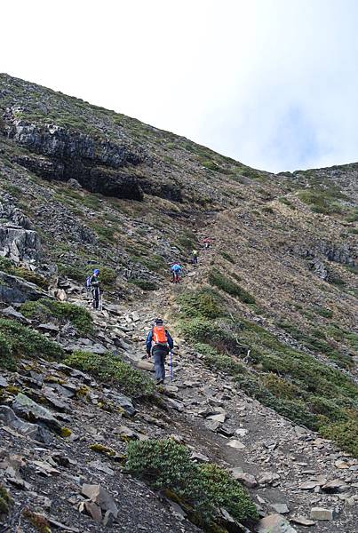 DSC_1096.JPG DSC_1096.JPG
