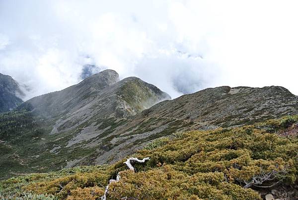 DSC_1143.JPG DSC_1143.JPG
