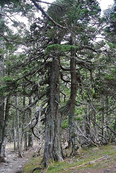 DSC_1181.JPG DSC_1181.JPG