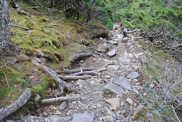 DSC_1184.JPG DSC_1184.JPG