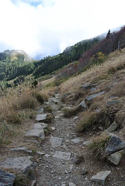 DSC_1201.JPG DSC_1201.JPG
