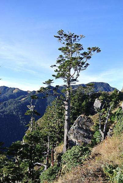 DSC_1241.JPG DSC_1241.JPG