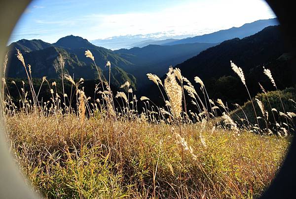 DSC_1227.JPG DSC_1227.JPG