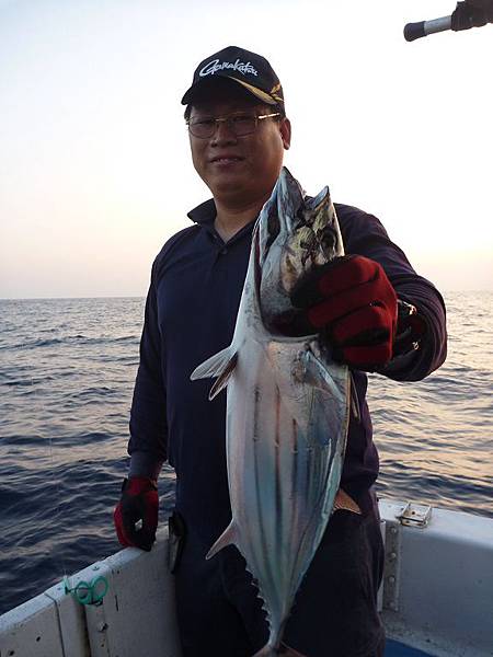 20131028tuna6.jpg