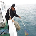 20140407ika6.jpg