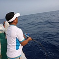 20140426bonito7.jpg